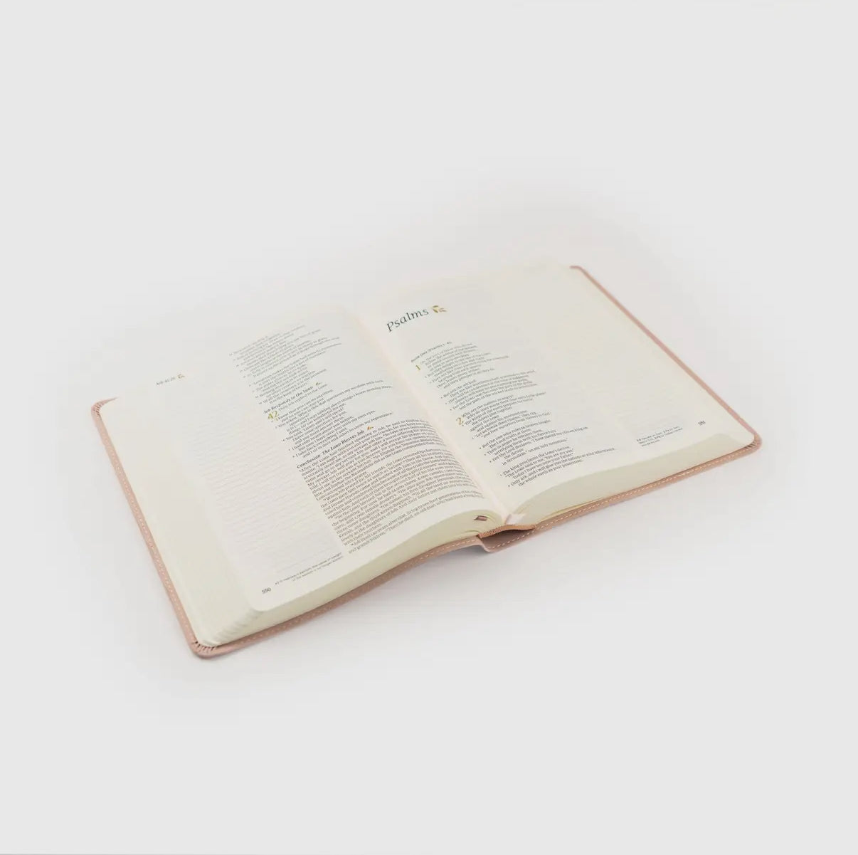 Shiloh NLT Bible