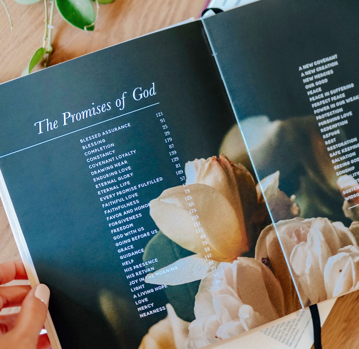 The Promises of God Devotional