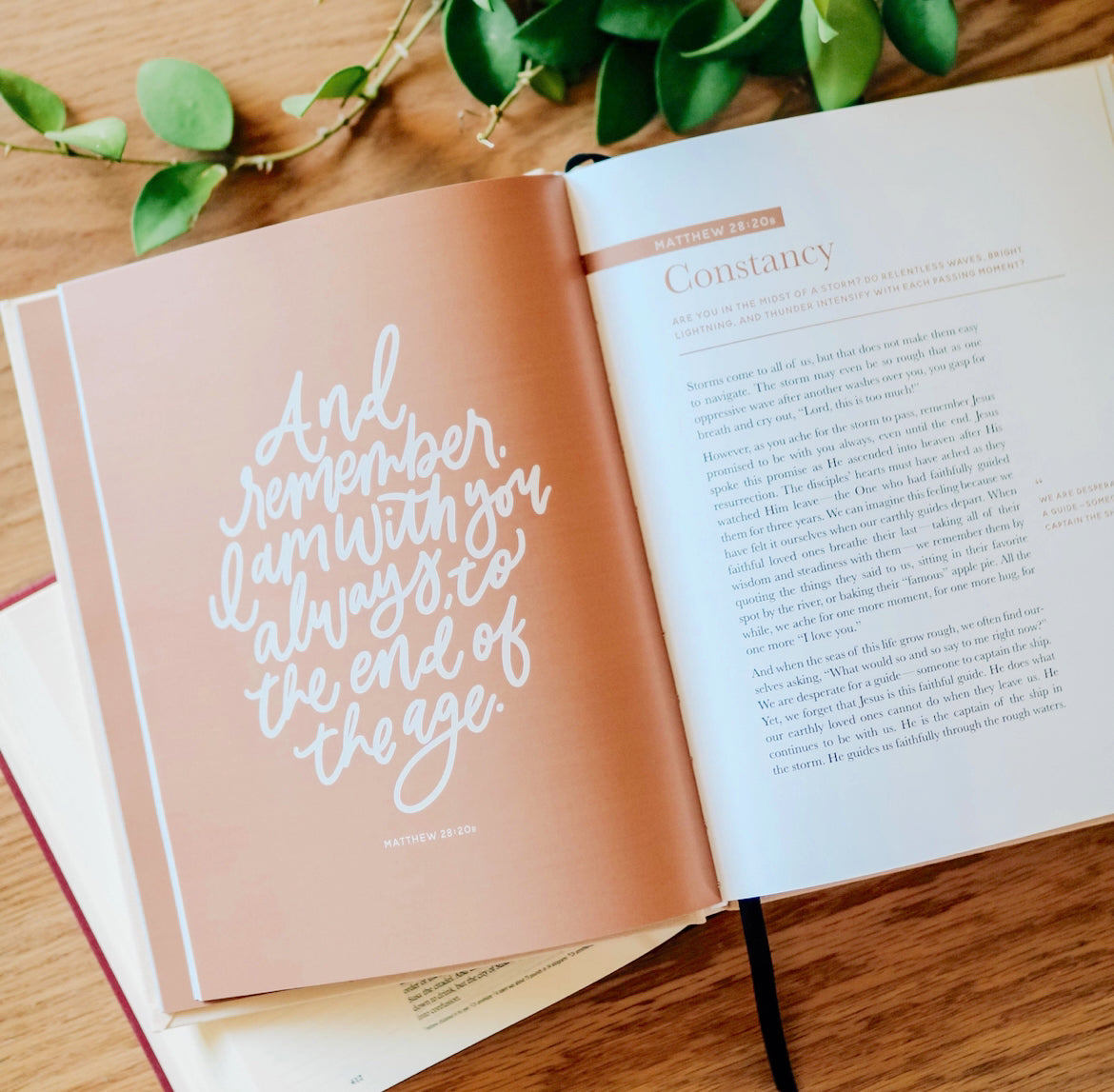 The Promises of God Devotional