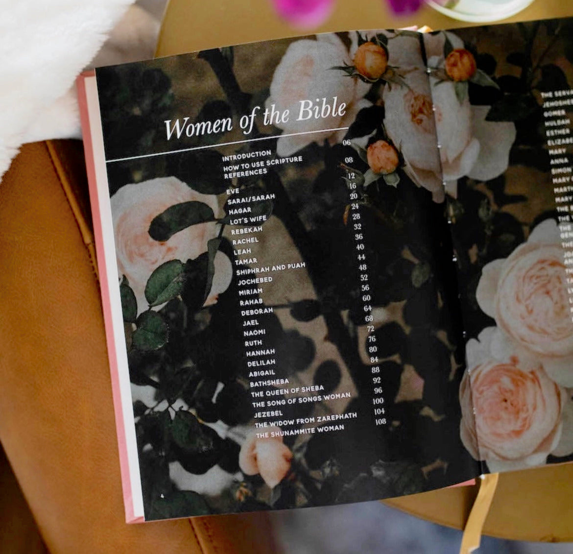 Women of the Bible Devotional